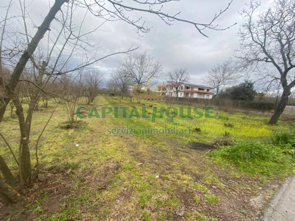 terreno agricolo in vendita a Saviano