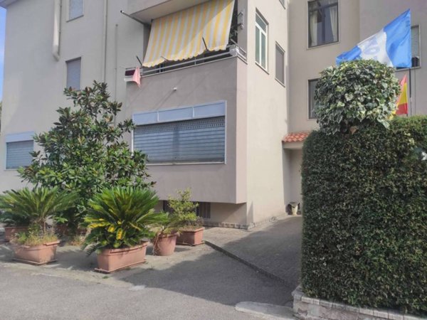 appartamento in vendita a Saviano