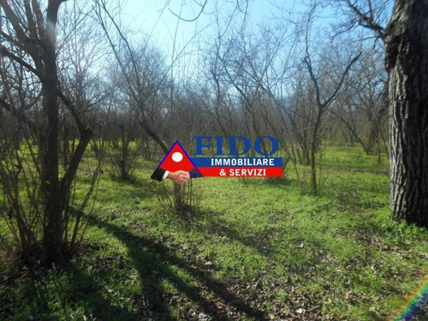 terreno agricolo in vendita a Saviano