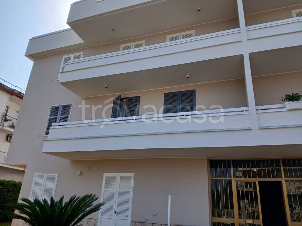 appartamento in vendita a Saviano