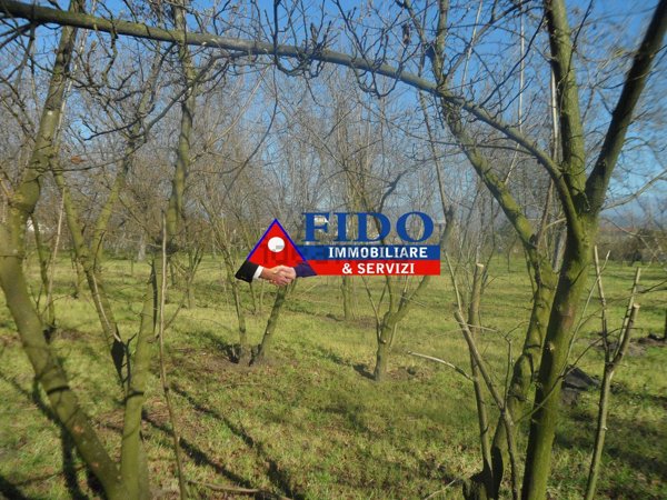 terreno agricolo in vendita a Saviano