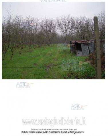terreno agricolo in vendita a Saviano
