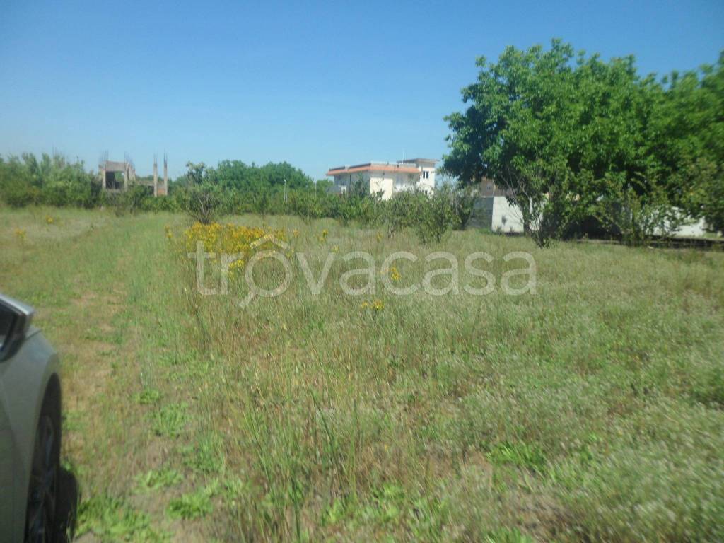 terreno agricolo in vendita a Saviano