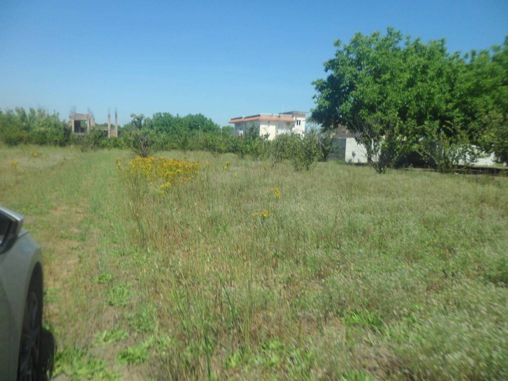 terreno agricolo in vendita a Saviano