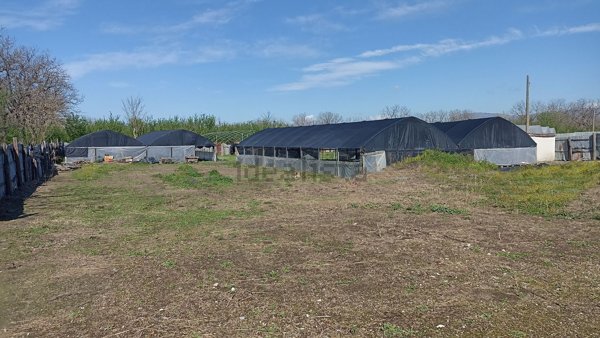 terreno agricolo in vendita a Saviano