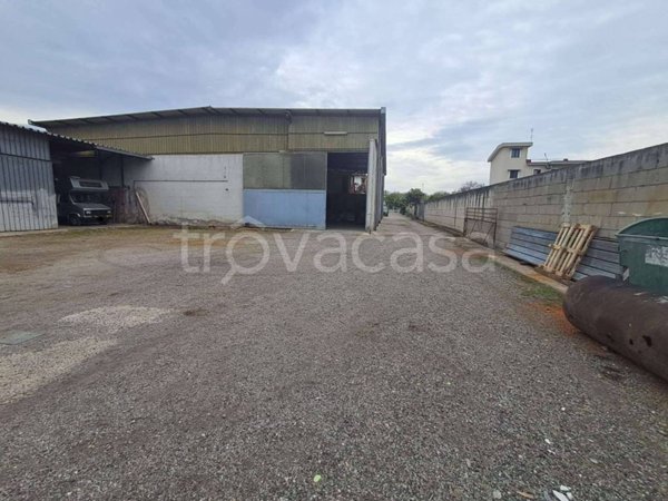 appartamento in vendita a Saviano in zona Fressuriello