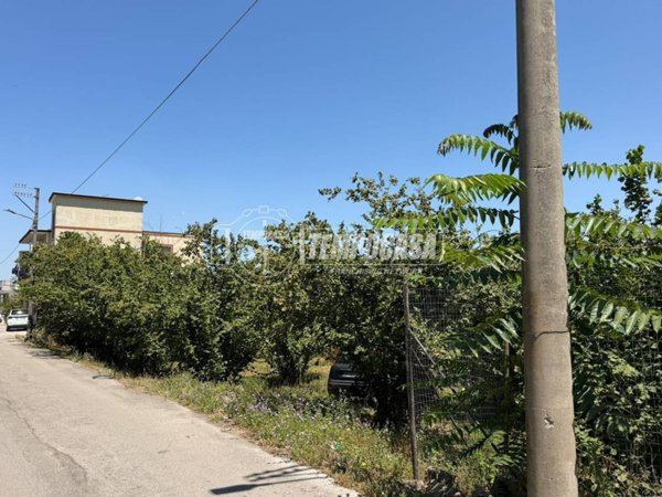 terreno agricolo in vendita a Saviano in zona Fressuriello