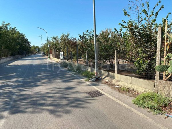 terreno agricolo in vendita a Saviano
