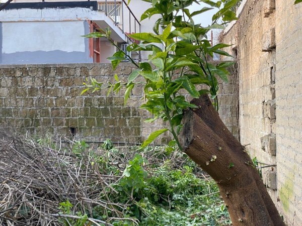 terreno in vendita a Saviano in zona Sirico