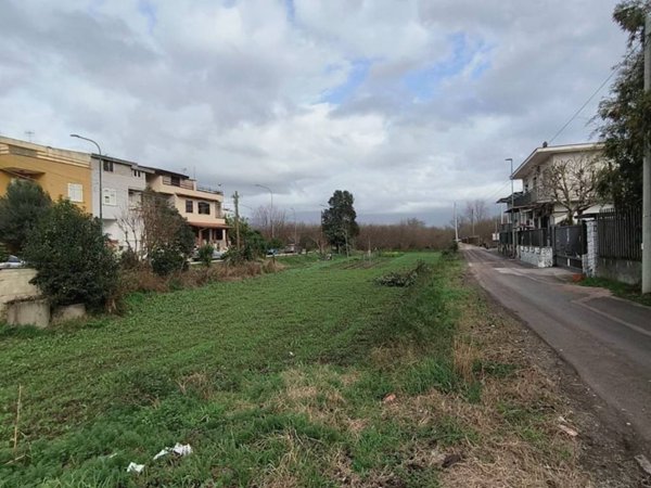 terreno agricolo in vendita a Scisciano in zona Frocia