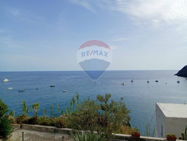 immagine annuncio 0 di 15