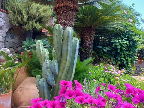 casa indipendente in vendita a Serrara Fontana