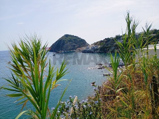 appartamento in vendita a Serrara Fontana