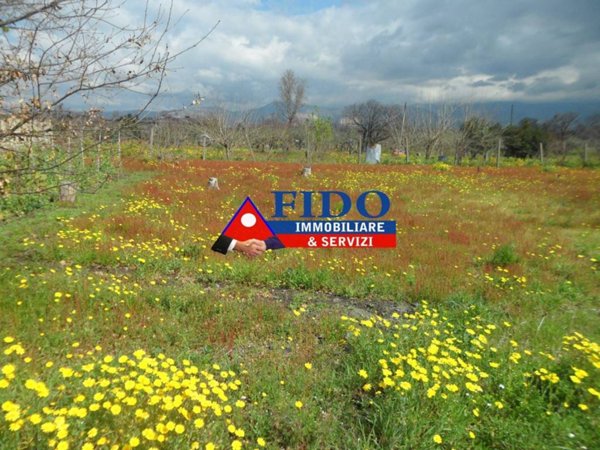terreno agricolo in vendita a Somma Vesuviana in zona Santa Maria del Pozzo