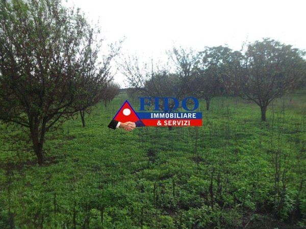 terreno agricolo in vendita a Somma Vesuviana