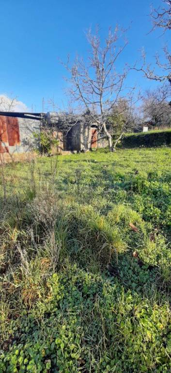 terreno agricolo in vendita a Somma Vesuviana