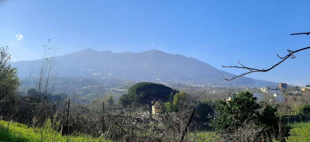 terreno agricolo in vendita a Somma Vesuviana