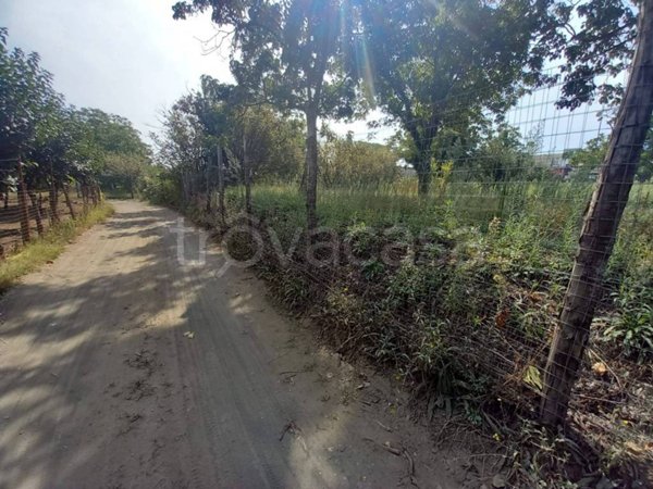 terreno agricolo in vendita a Somma Vesuviana