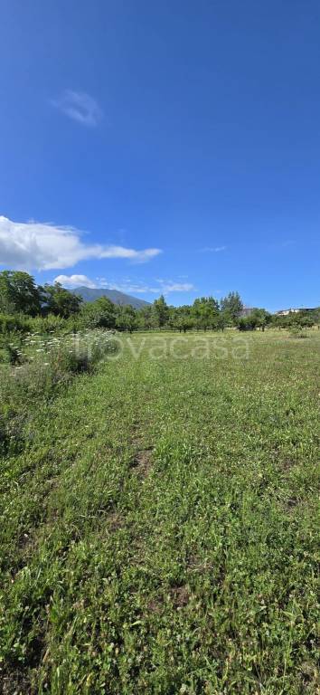 terreno agricolo in vendita a Somma Vesuviana
