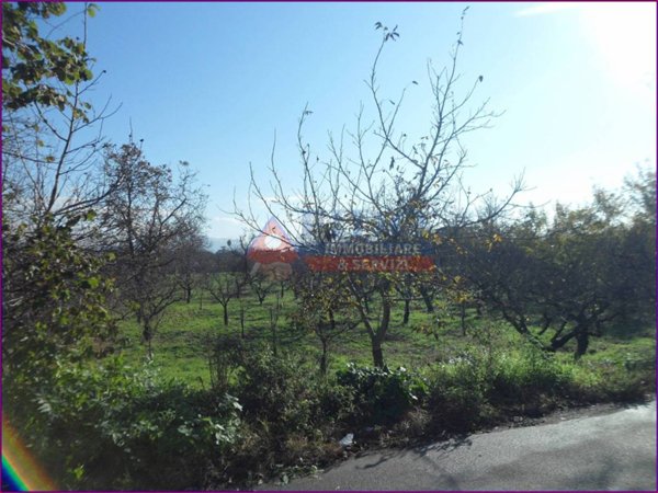 terreno agricolo in vendita a Somma Vesuviana
