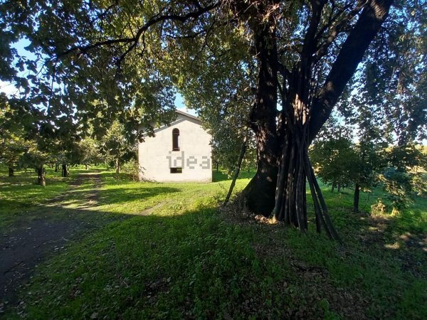terreno agricolo in vendita a Somma Vesuviana