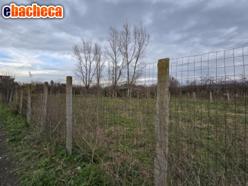 terreno agricolo in vendita a Somma Vesuviana