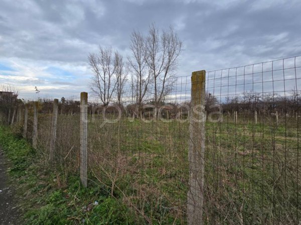 terreno agricolo in vendita a Somma Vesuviana