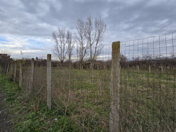 terreno agricolo in vendita a Somma Vesuviana