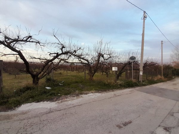 terreno agricolo in vendita a Somma Vesuviana