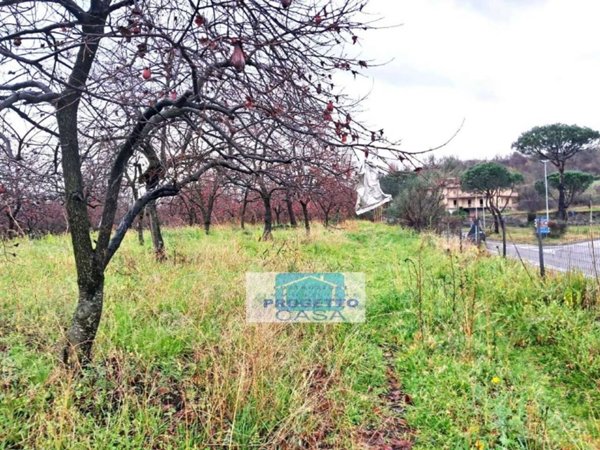 terreno agricolo in vendita a Somma Vesuviana