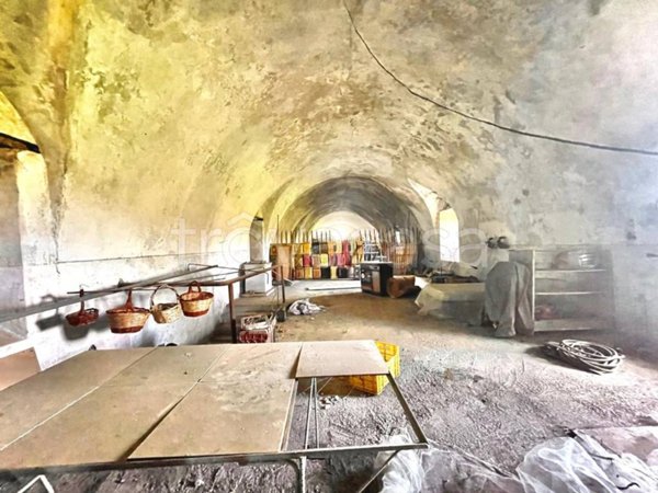 immagine annuncio 0 di 8