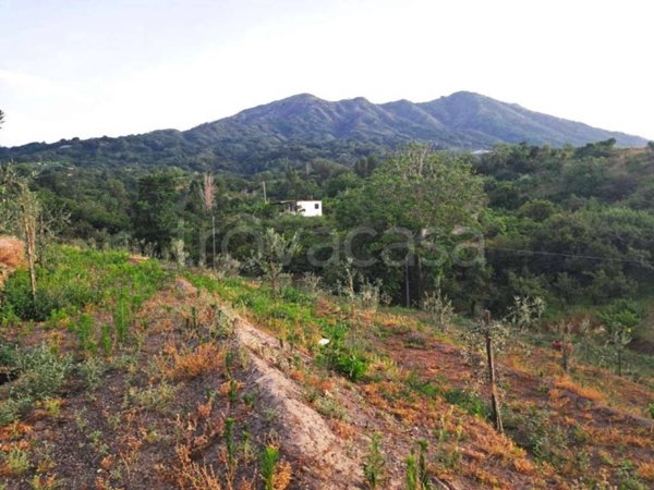 terreno agricolo in vendita a Somma Vesuviana