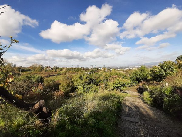 terreno agricolo in vendita a Somma Vesuviana