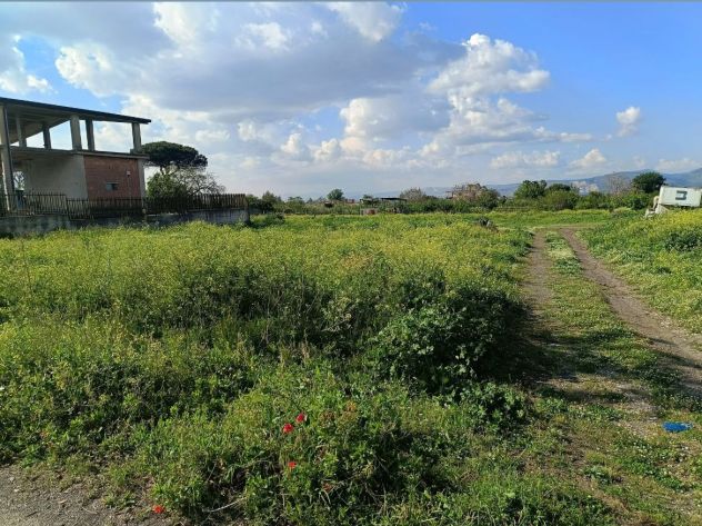 terreno agricolo in vendita a Somma Vesuviana