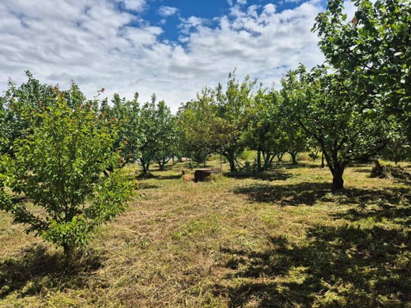 terreno agricolo in vendita a Somma Vesuviana