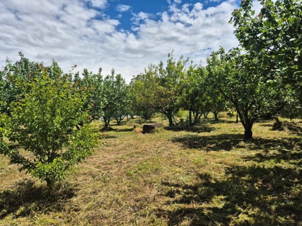 terreno agricolo in vendita a Somma Vesuviana