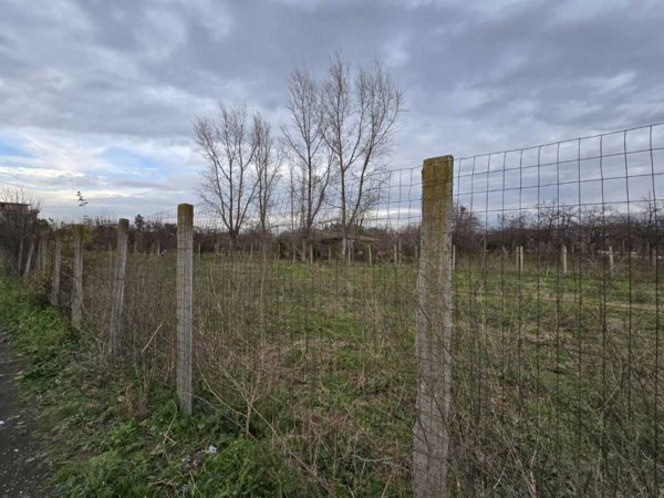 terreno agricolo in vendita a Somma Vesuviana