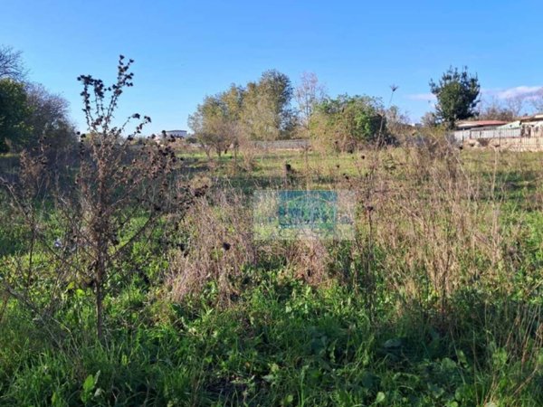 terreno agricolo in vendita a Somma Vesuviana