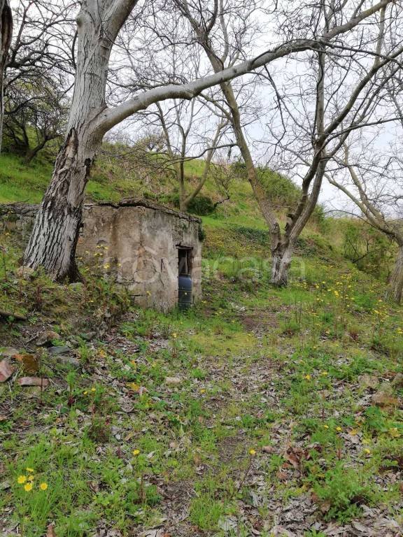 terreno agricolo in vendita a Somma Vesuviana
