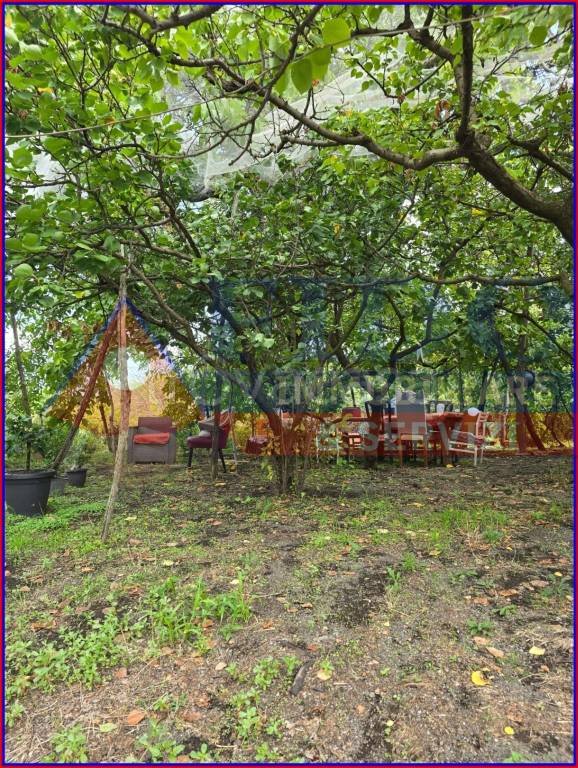 terreno agricolo in vendita a Somma Vesuviana