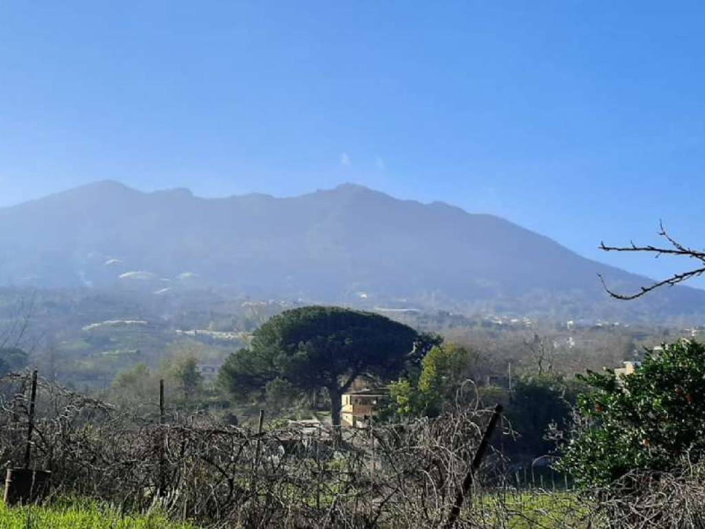 terreno agricolo in vendita a Somma Vesuviana