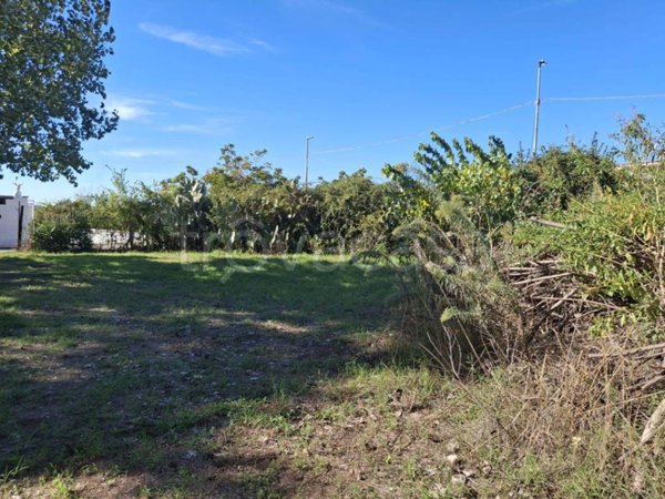 terreno agricolo in vendita a Somma Vesuviana in zona San Sossio