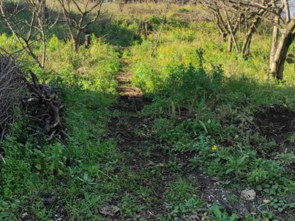 terreno agricolo in vendita a Somma Vesuviana