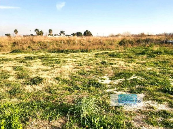 terreno agricolo in vendita a Somma Vesuviana