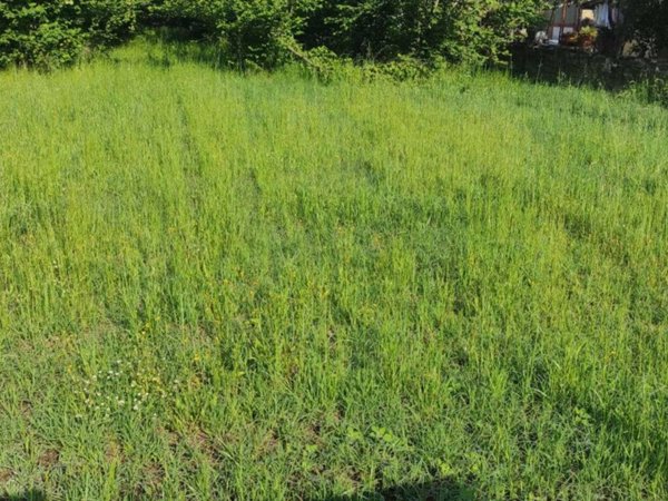 terreno agricolo in vendita a Somma Vesuviana