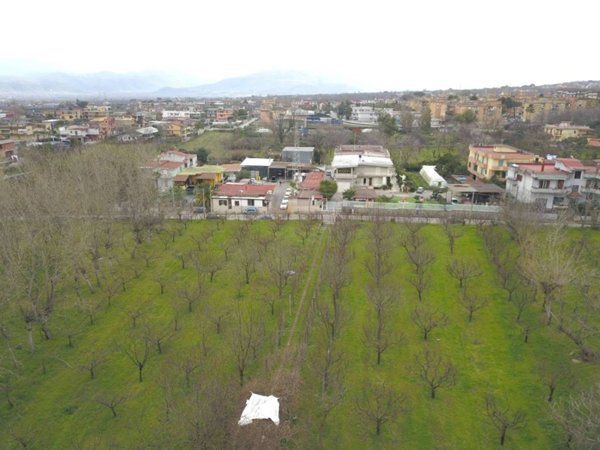 terreno agricolo in vendita a Somma Vesuviana