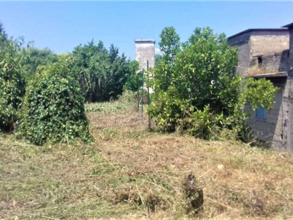 terreno agricolo in vendita a Somma Vesuviana