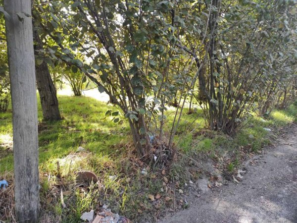 terreno agricolo in vendita a Somma Vesuviana