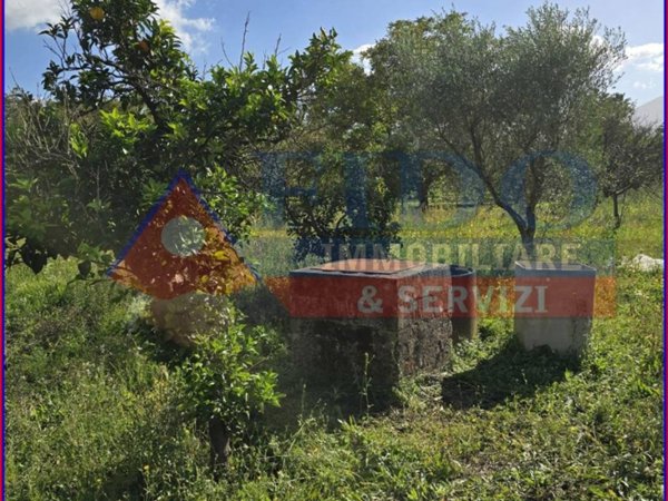 terreno agricolo in vendita a Somma Vesuviana in zona Marigliano