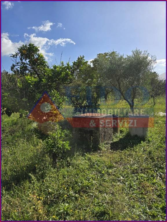 terreno agricolo in vendita a Somma Vesuviana in zona Marigliano